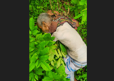 দুপচাঁচিয়ায়ার তালোড়ায় বৃদ্ধের লাশ উদ্ধার
